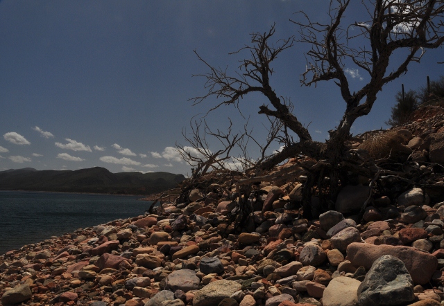 Lake Roosevelt's Cholla Rec Site